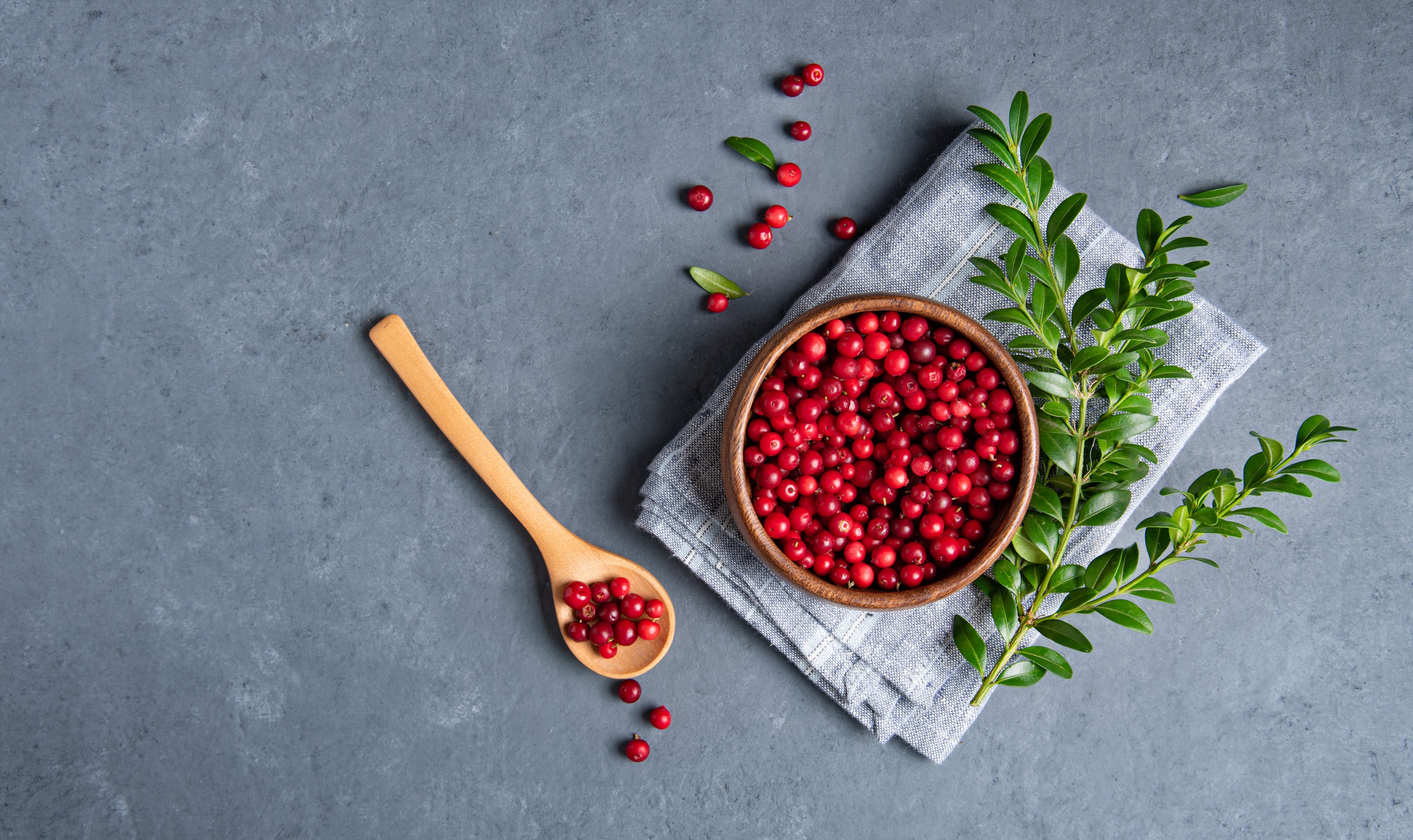 juicy-forest-lingonberry-in-a-wooden-bowl-with-s-2023-11-27-05-15-19-utc.jpg__PID:25d98830-6ea6-4dd0-b761-bce67d9546d7